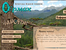 Tablet Screenshot of ermak24.com